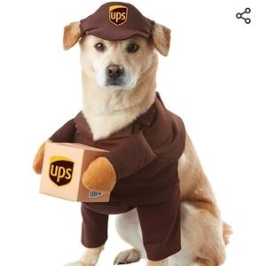 Pet UPS costume